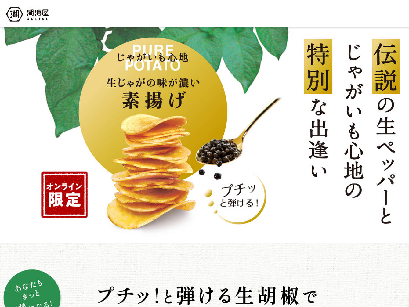 株式会社湖池屋　じゃがいも心地素揚げ 商品LP