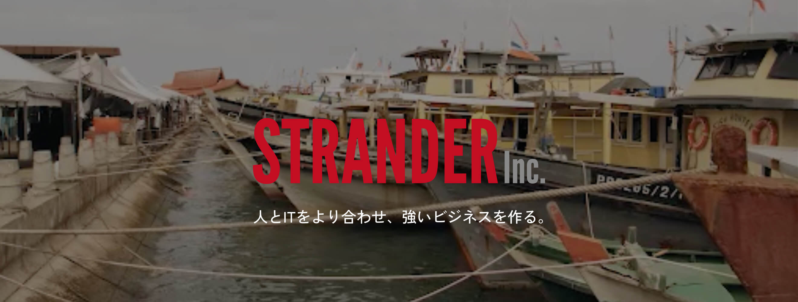 ストランダーイメージ画像
