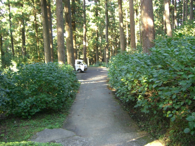 CIMG0241.JPG